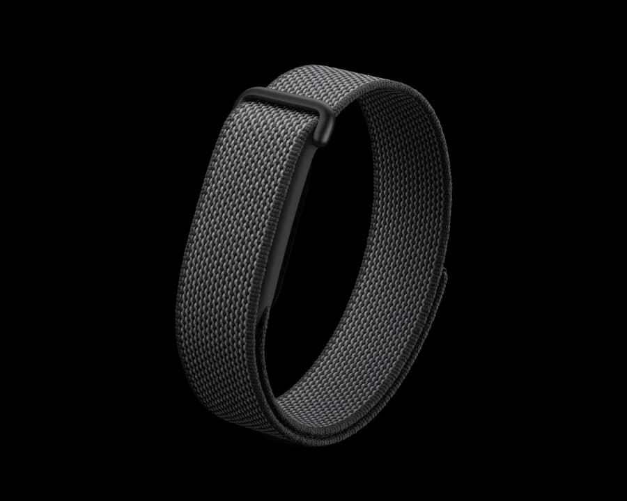 Google Fitbit Air
