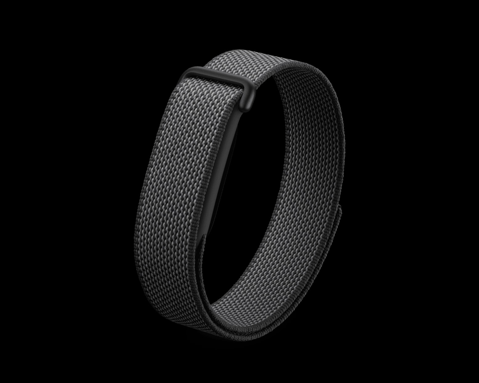Google Fitbit Air